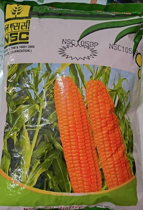 NSC- Yellow MAIZE var.-NSC 1058P
