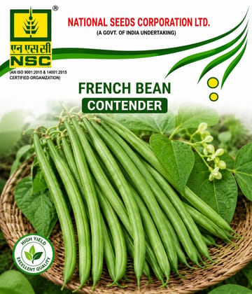 NSC French Bean Contender, 50 Gram Seed Pouch