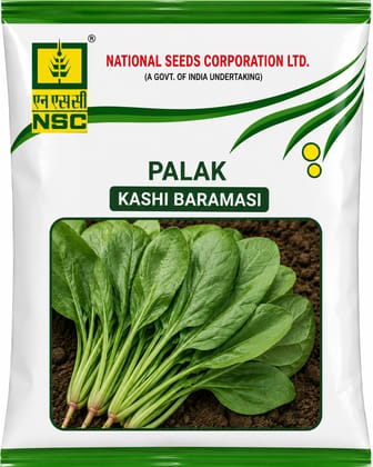 NSC Palak, Kashi Baramasi, 250 g Truthfully Labelled Seed Pouch