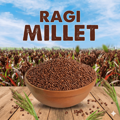 RAGI 500 GM