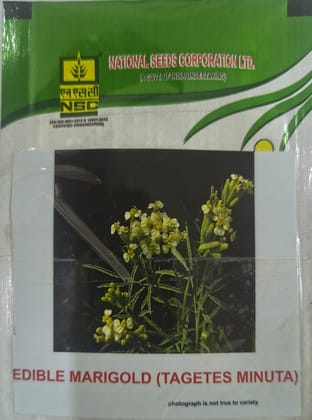 NSC Edible Marigold Tagetes Minuta Seed,5 gm 