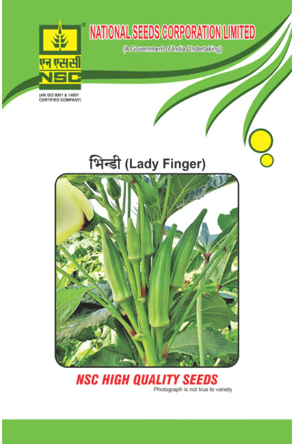 NSC Bhindi AA (Arka Anamika) High Quality Seeds, 50g