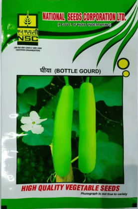 NSC Bottle Gourd Variety PN T/L  50 Gms Pouch
