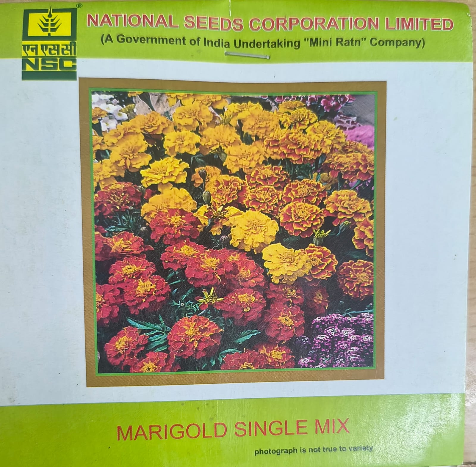 NSC Marigold Single Mix Flower Seed, 3gm 