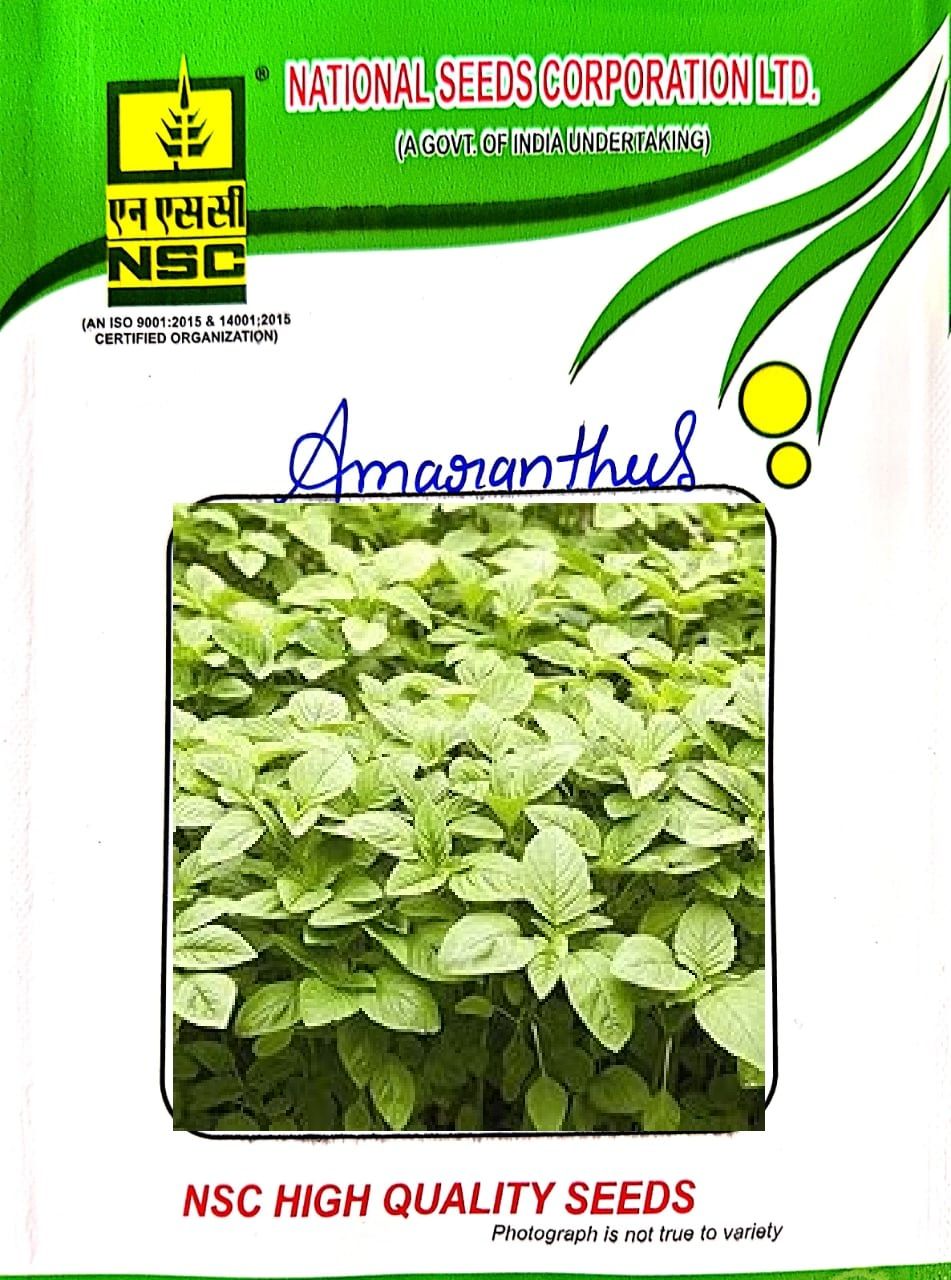 NSC/Veg Amaranthus/Arka Suguna-50 Gms Seeds