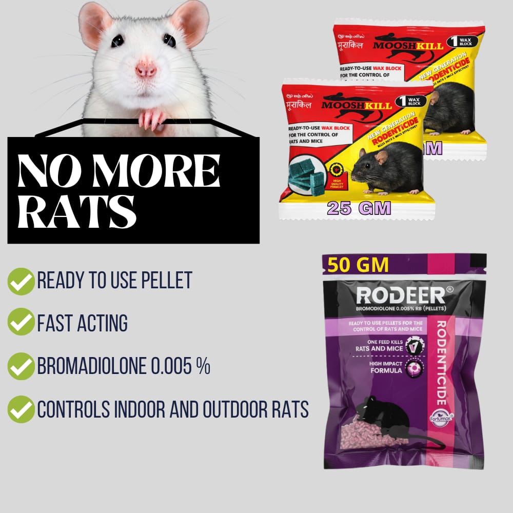Powerfull Rat Killer Cake & Pellets Combo | Make Your Home Rats & Rodents Free | 50GMx1+25GMx2 - Fresheners and Repellents | Buy online on ZillyBuy
