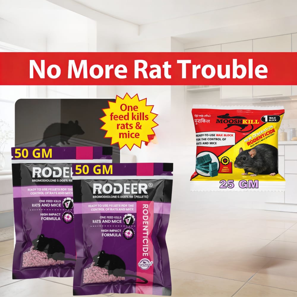 Powerfull Rat Killer Cake & Pellets Combo | Make Your Home Rats & Rodents Free | 50GMx2+25GMx1 - Fresheners and Repellents | Buy online on ZillyBuy