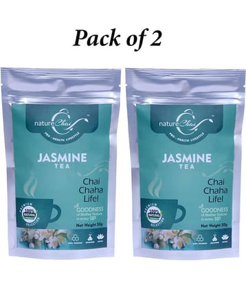 nature Chai Green Tea Loose Leaf 50 gm Pack of 2