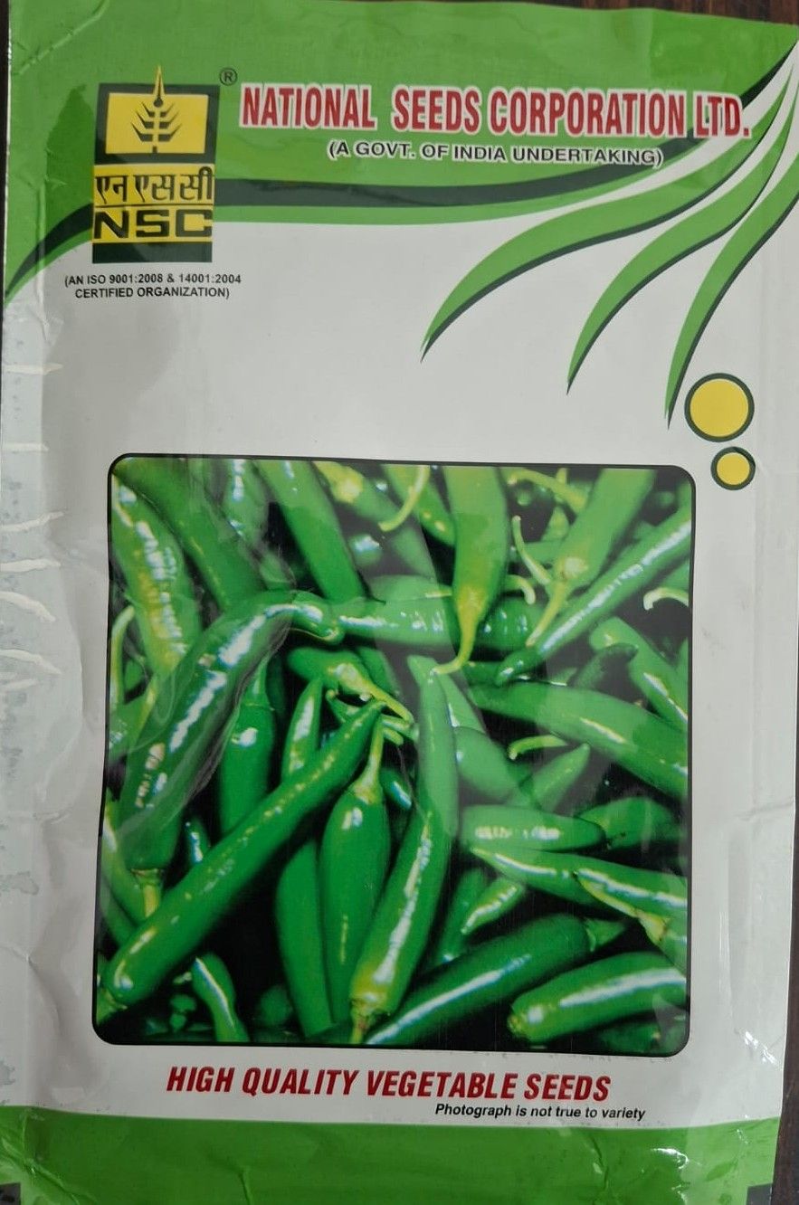 NSC Chilli Seeds Kashi Anmol 25g