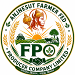 ANJNESUT FARMER FED PRODUCER COMPANY LIMITED