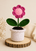 Single Handmade Crochet Potted Flower Decorative Plant