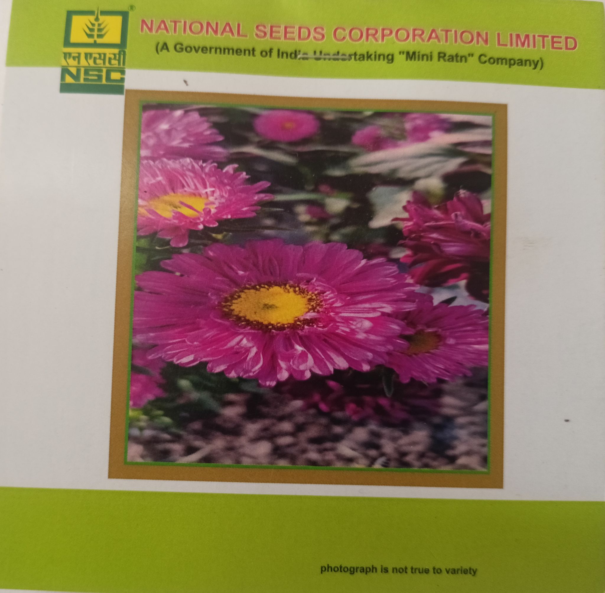 NSC Zinnia Mix Premium Flower Seed-1 gram