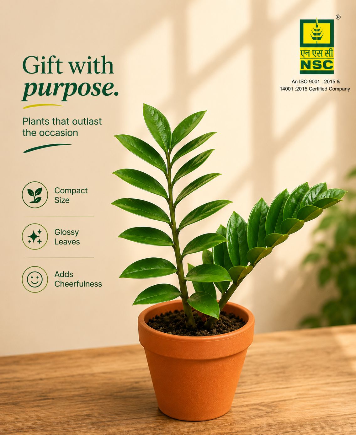 NSC ZZ Plant