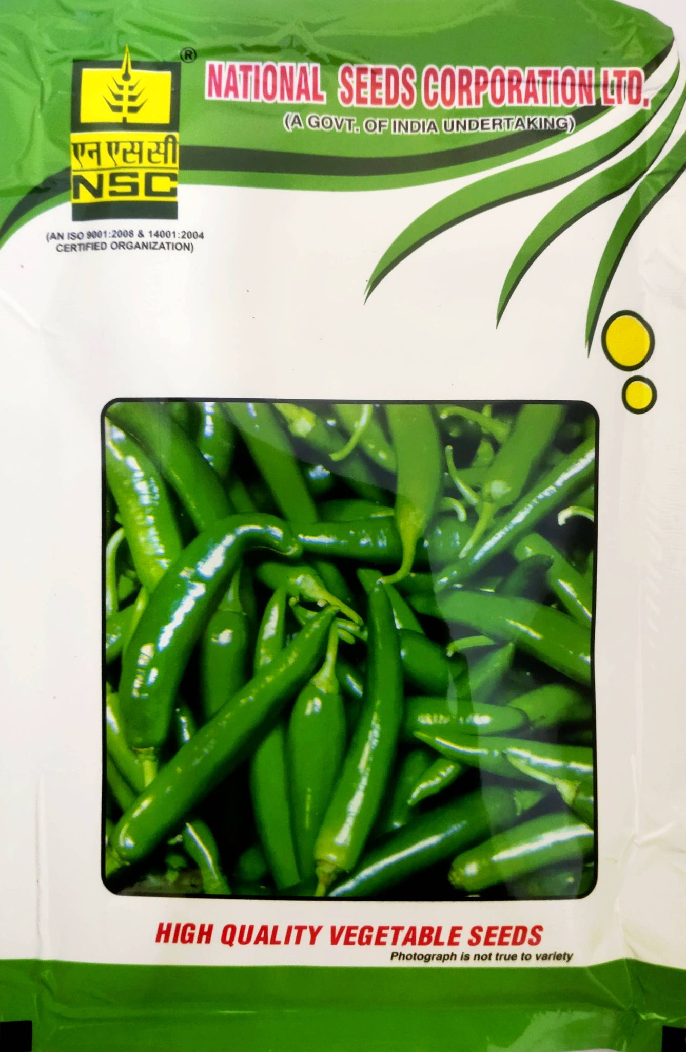 NSC Chilli Kashi Anmol, 25 gram TL seeds