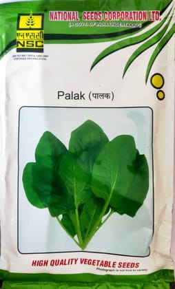 NSC Palak Kashi Baramasi, 100 gram TL seeds 