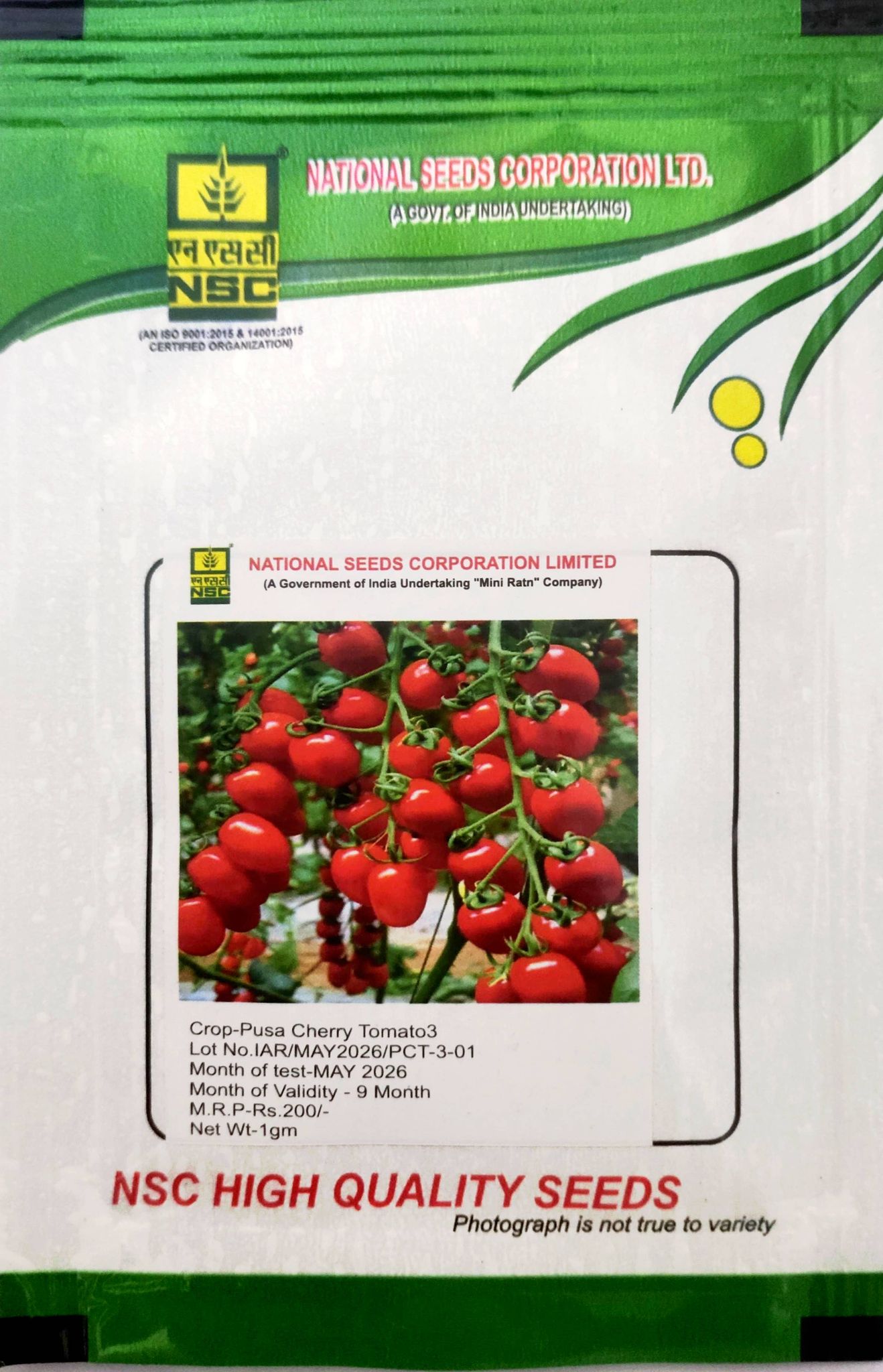 NSC Cherry Tomato Pusa Cherry Tomato-3 (PCT3), 1 gram TL seeds