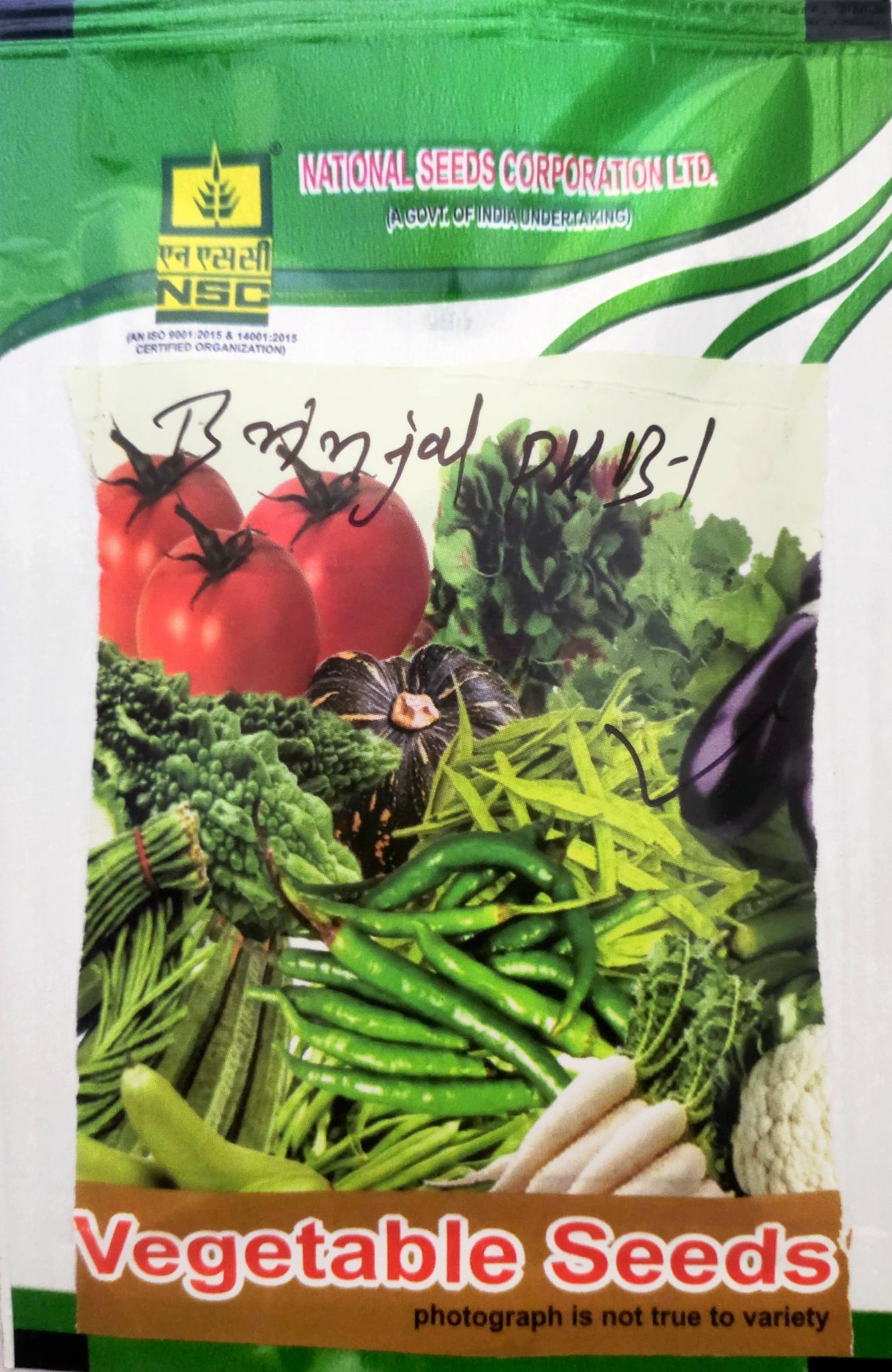 NSC Green Brinjal Pusa Hara Baingan-1 (PHB-1), 10 gram TL Seeds