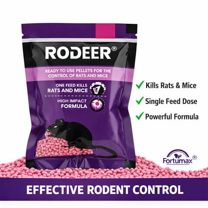 Powerfull Rat Killer Pellet | Make Your Home Rats & Rodents Free | 50 GM (Pack of 1)