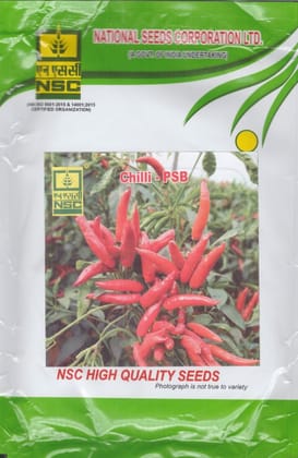 NSC- Chilli Variety -पूसा सदाबहार, 25g Seed
