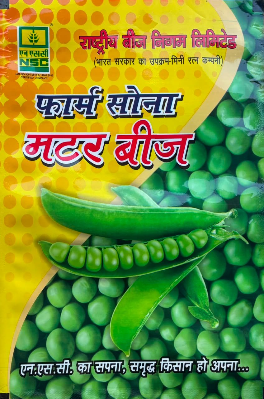 Pea (V) Matar Ageta-7 Truthfully Labeled Seed 1 Kg pouch