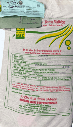 NSC Guar Certified Seeds – HG-2-20 Variety, 4 kg