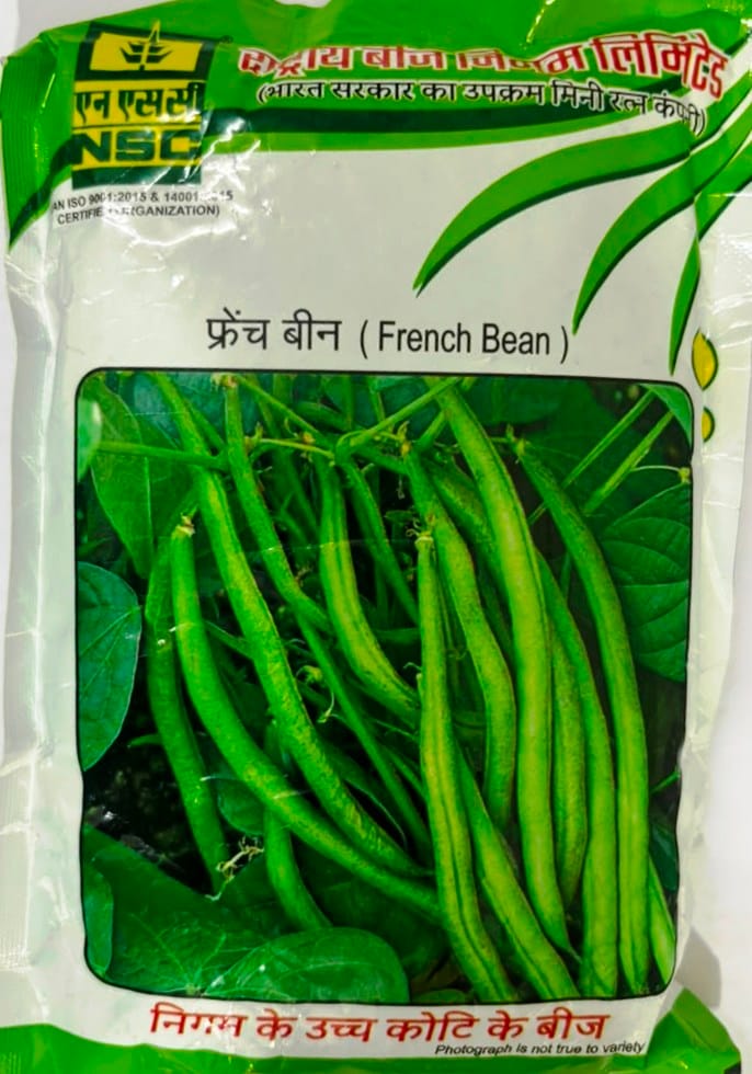 NSC French Bean Seeds (Variety A.K.) - 250g