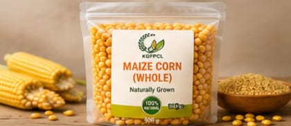 Maize Corn (Whole)