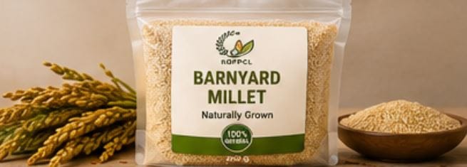 Barnyard Millet