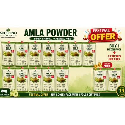 SHUSHRAJ JAIVIK Amla Powder Pack of 12 + Get 2 Free | 80g Each | Total 1120g