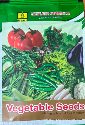 NSC Cucumber Pusa Barkha, 10gm