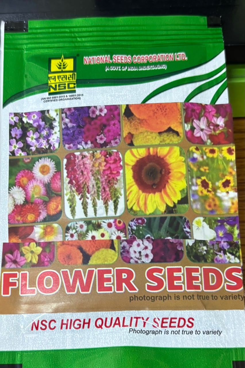 NSC Calendula – Orange Gitana ,  5 gram