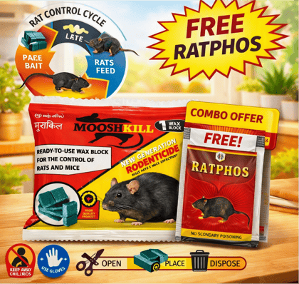 Powerfull Rat Killer Cake & Rat Killer Powder Combo | 25GMx1+10GMx1