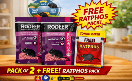 Best Rat Killer Combo Of Pellets & Zinc Phosphide 50GMX2+10GMx1