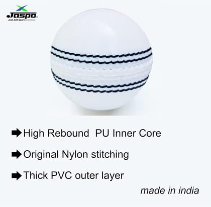 jaspo IncrediBall Soft T20 Cricket Training Ball Quantity-1 Indoor/Outdoor Play and Cricket Practice (229 cm Circumference), PVC Material, (Color selection: Pink, White, Red)