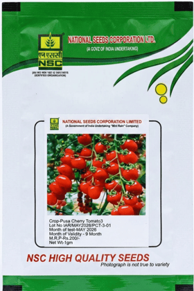 NSC Pusa Cherry Tomato3 High Quality Seeds (1gm)