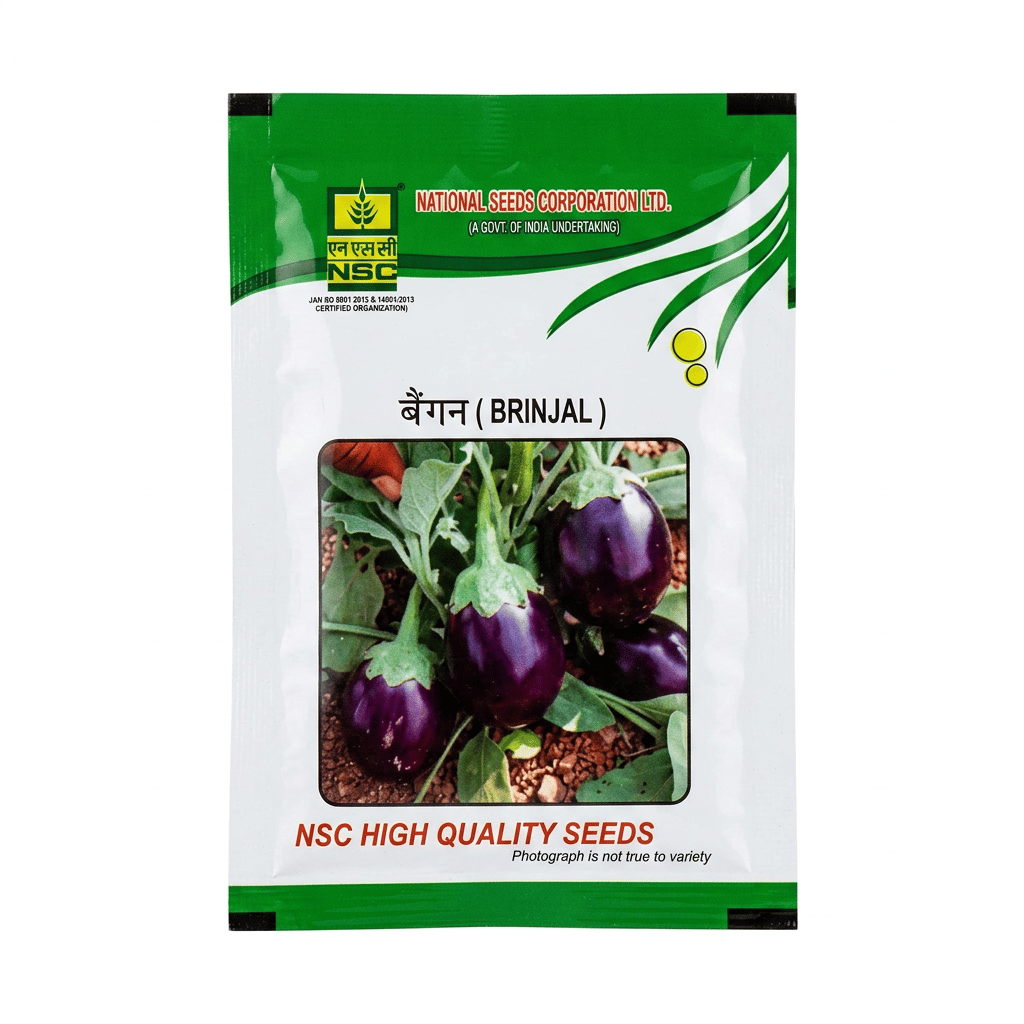 NSC Brinjal (Pusa Uttam) Seeds