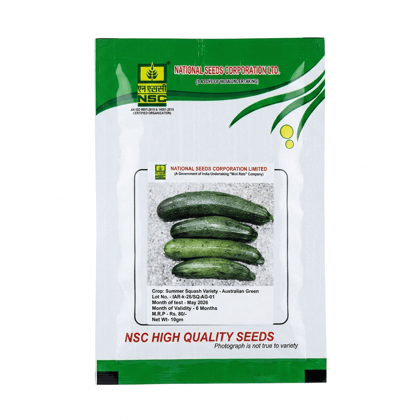 NSC Australian Green Summer Squash Seeds