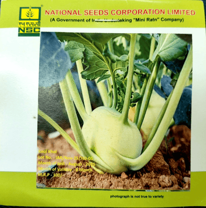NSC - KNOL KHOL (Ganth Gobi) - VARIETY WHITE VIENNA HIGH-QUALITY T/L SEEDS- 5 GMS POUCH