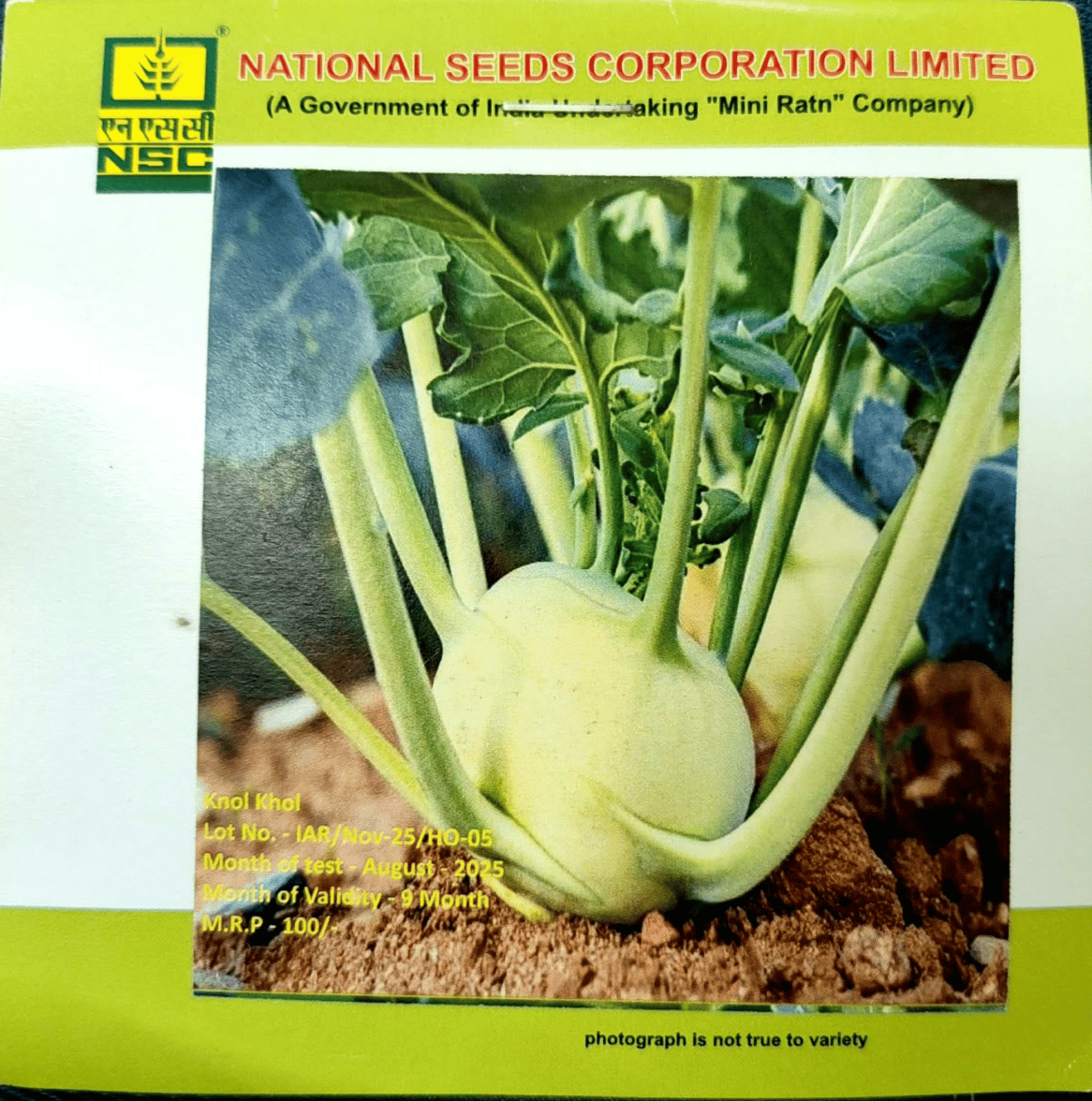 NSC - KNOL KHOL (Ganth Gobi) - VARIETY WHITE VIENNA HIGH-QUALITY T/L SEEDS- 5 GMS POUCH