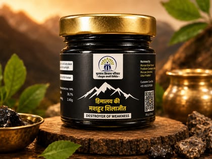Himalay ki mashhoor Shilajit - Destroyer of Weakness