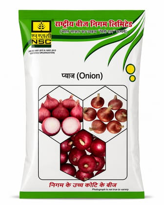 ONION BHIMA RED 250GM ONION BHIMA RED 250GM