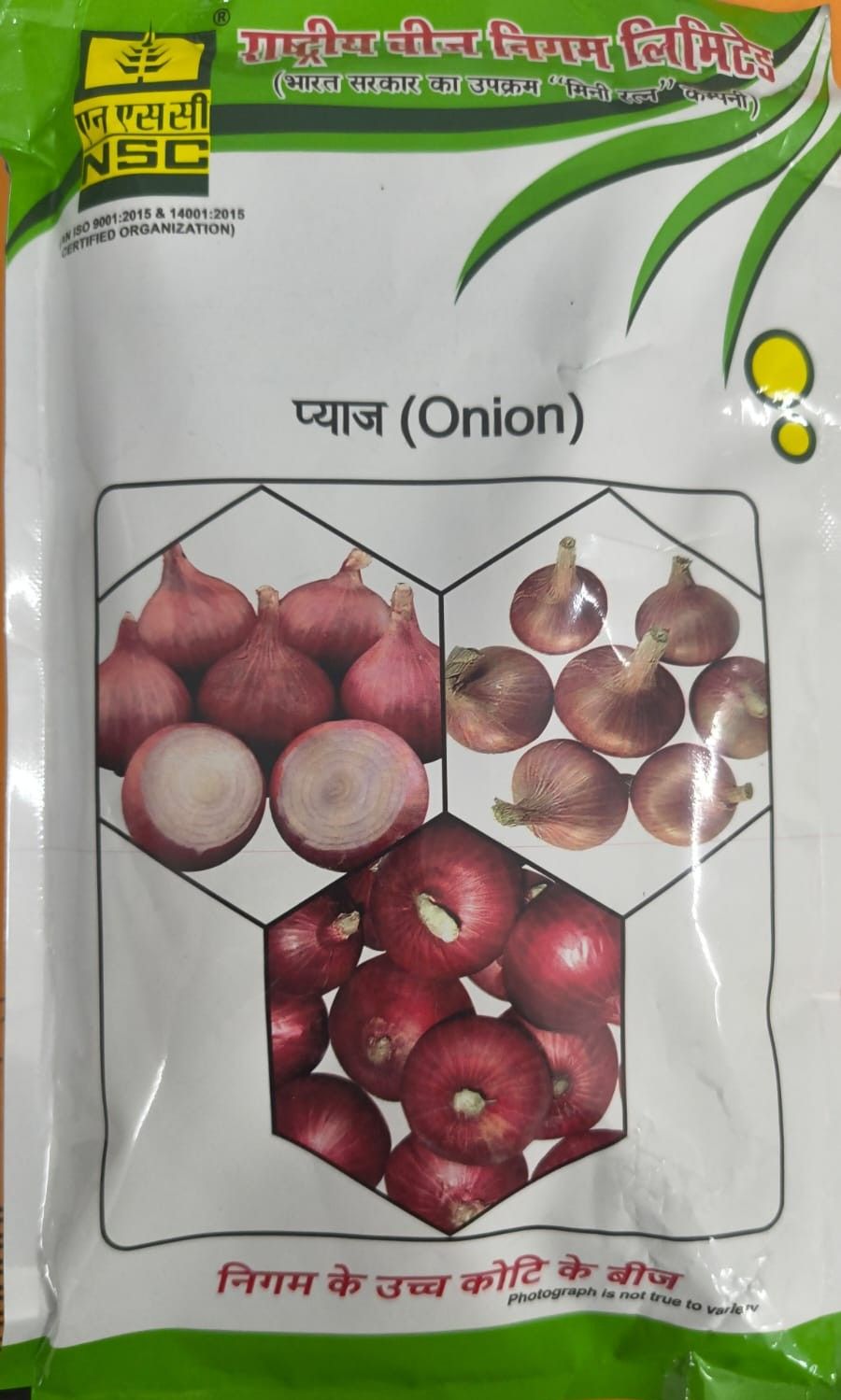 NSC Onion-AFDR - 250g seeds