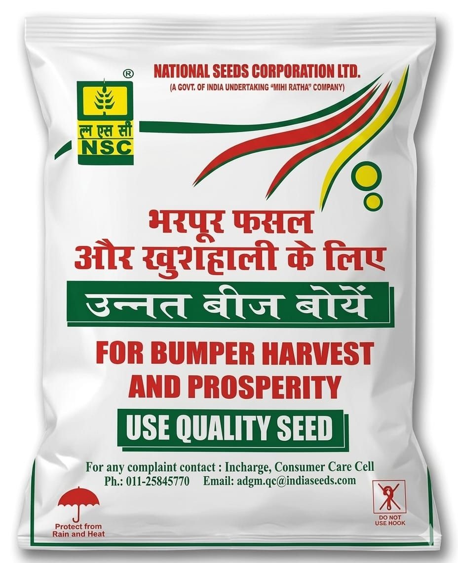 NSC MUSTARD SEED- RH 725/ 2 Kg TL