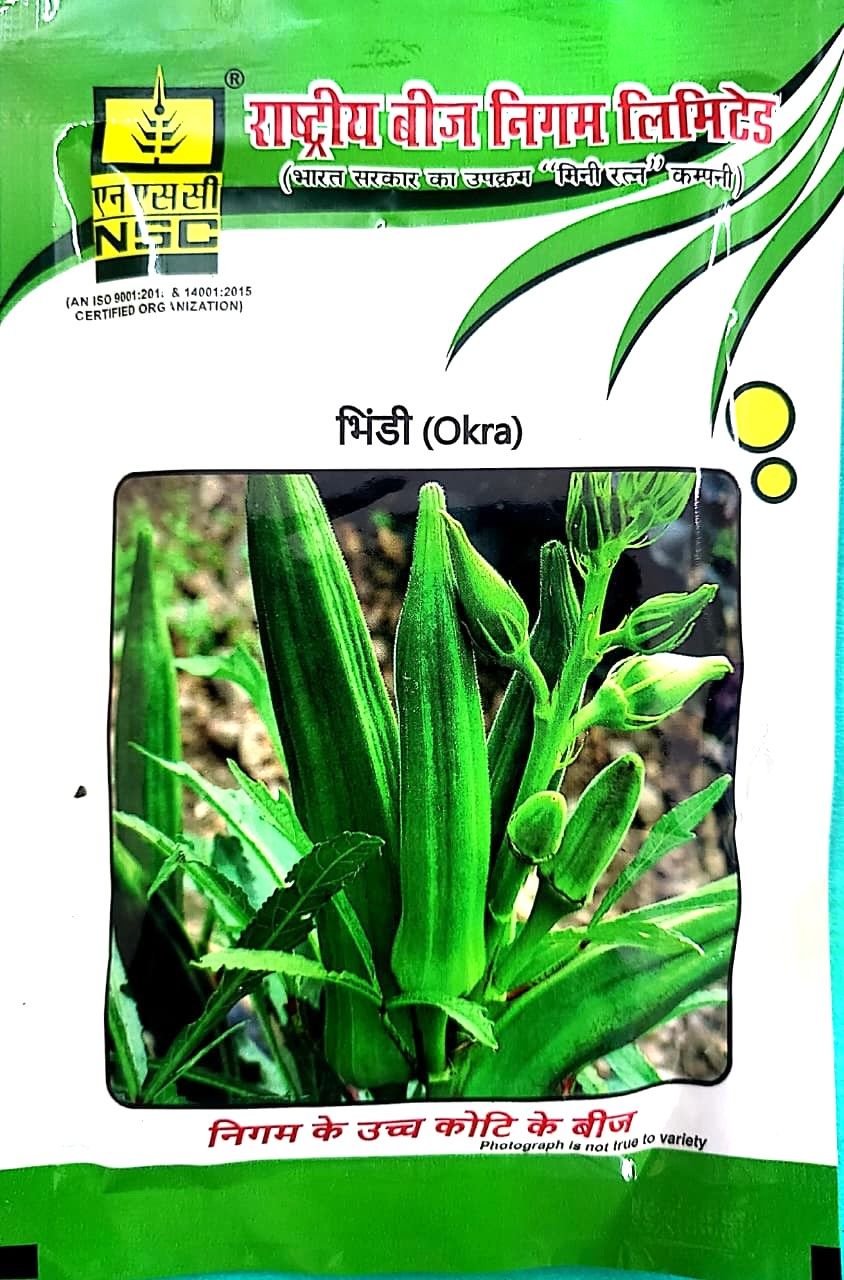 BHINDI (OKRA) VERIETY ARKA ANAMIKA TRUTHFUL LABELLED (TL) SEED 150 GM ( 3 packets of 50gm each)