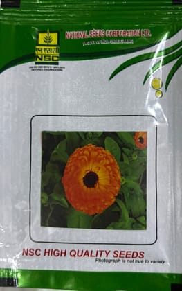 NSC Calendula Officinalis Orange Gitana Flower Seed (5 Gm Seed)