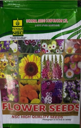 NSC Dahalia Top Star Flower Seed (5 Gm Seed)