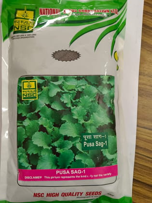 NSC SAG SARSON PUSA SAG-1 T/L SEEDS 500 GM PACKET