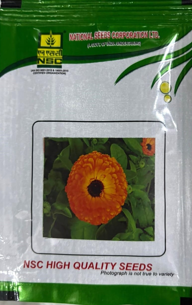 NSC Calendula Officinalis Orange Gitana Flower Seed (5 Gm Seed)