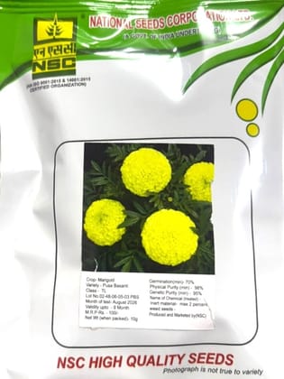NSC Marigold Variety Pusa Basanti Flower Seed (10 Gm Seed)