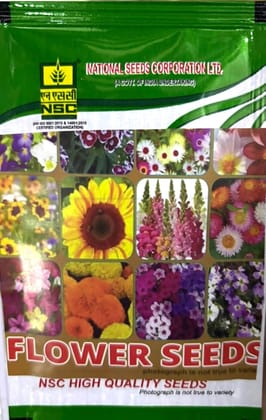 NSC Cosmos Bright Light Flower Seed (5 Gm Seed)